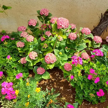 Appartement Sekana Starigrad Paklenica