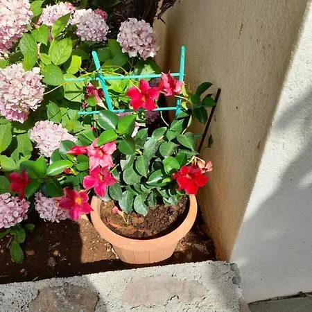 Sekana Appartamento Starigrad Paklenica