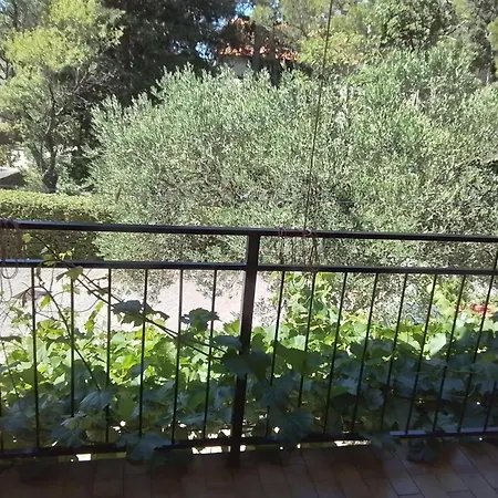 Sekana Starigrad Paklenica