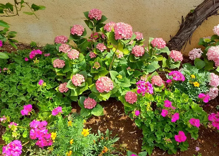 Apartamento Sekana Starigrad Paklenica