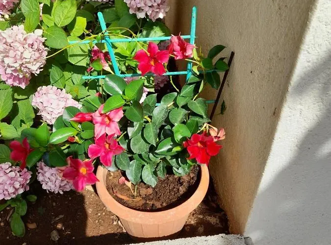 Sekana Appartement Starigrad Paklenica